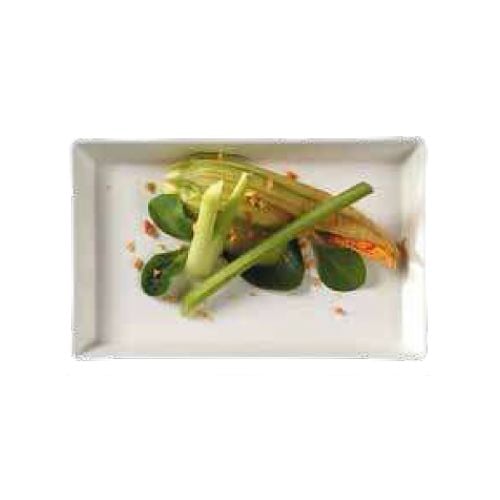 Solia Sugarcane Pulp Biodegradable Quartz Plate Without Lamination L16xW10xH1.6cm, 50pieces/packet, 4packets/carton