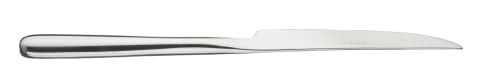 WNK Togo Stainless Steel Steak Knife (H.S.H) L23.9cm