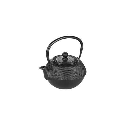 CAST IRON TEAPOT w/FILTER, ORIENTAL