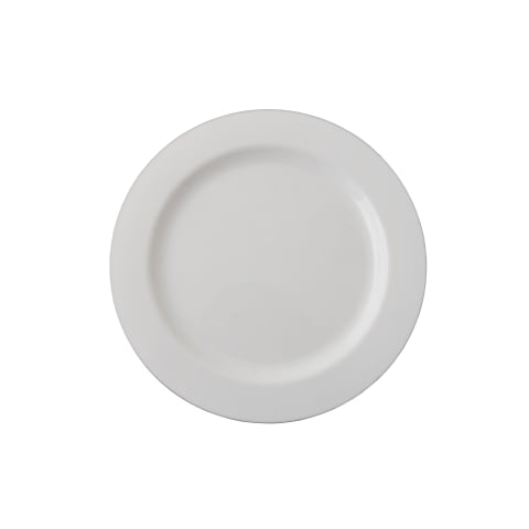 Bfooding Disposable Plate W/Silver Rim Ø257.5mm, 10Pcs/Pkt, White