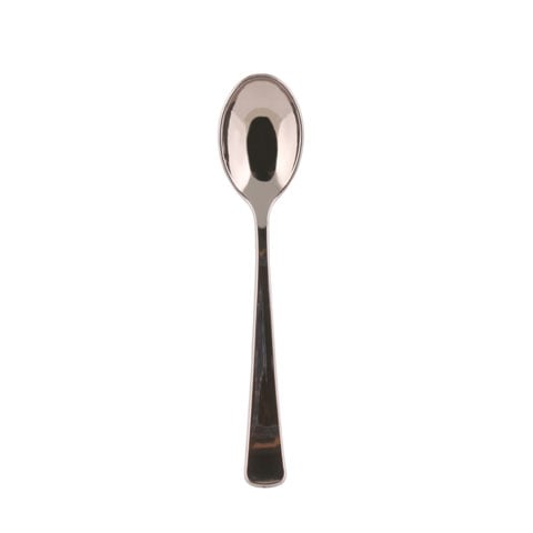 Bfooding Disposable Spoon L175mm, 20Pcs/Pkt,Silver