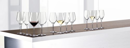 Spiegelau Authentis Set Of 12 Stemware