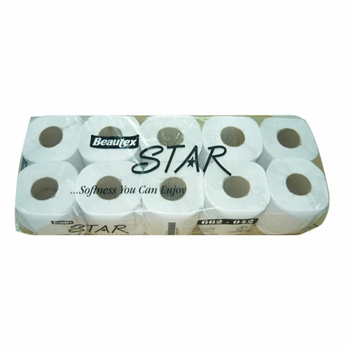 Star Toilet Roll 2Ply (Recycle), 10Rolls X 160Sheets