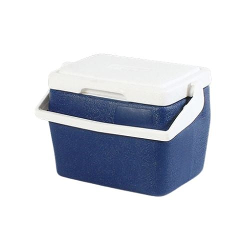 Standard Plastic Insulated Cooler Box L25.5xW18xH20cm, 4L/4.2Qt, Blue