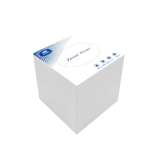 Vinda 2-Ply Facial Tissue L19xW19.5cm, Box Size: L10xW10xH12cm, 80Sheets/Pkt, 100Pkts/Ctn, Cube