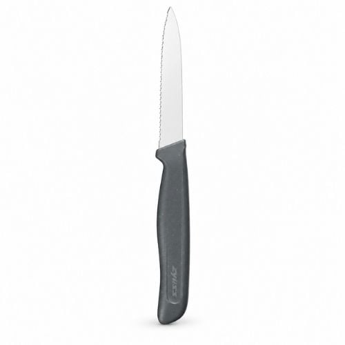 Zyliss Stainless Steel Serrated Paring Knife With Translucent Blade Cover 10cm, Gray, Utility