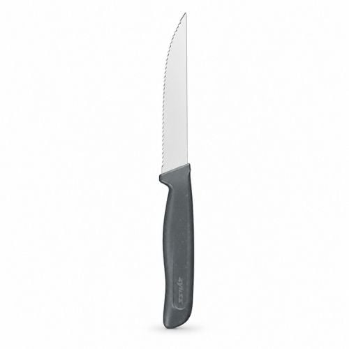 Zyliss Stainless Steel Steak Knife With Translucent Blade Cover 12cm, Gray, Utility