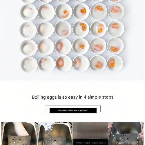 Stainless Steel Intelligent Automatic Commercial Egg Boiler Machine L19xW41xH29cm, 9L (Max<50Pcs), Timing: 0-99Min, Temp: 30-90̊ C, 220V/50Hz, 800W