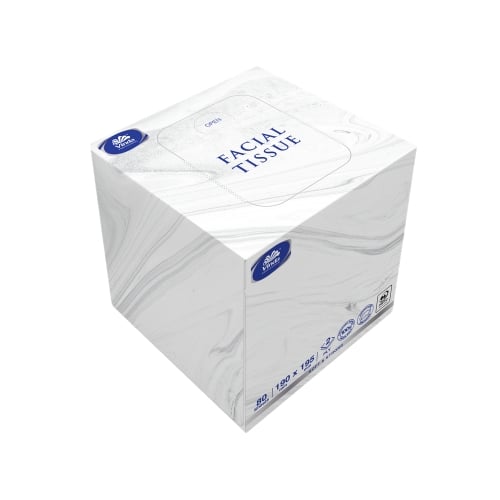 Vinda 2-Ply Facial Tissue L19xW19.5cm, Box Size: L10xW10xH12cm, 80Sheets/Pkt, 100Pkts/Ctn, Cube
