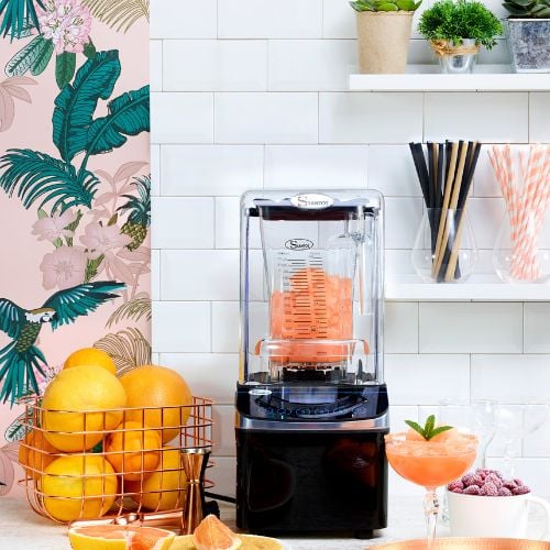 =FHA= Santos Brushless Blender 220-240V/50/60/1=1 Year Warranty=