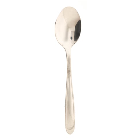 STAINLESS STEEL TEA SPOON