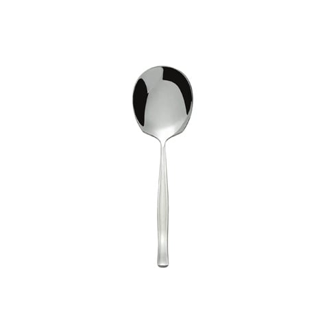 STAINLESS STEEL SERVING SPOON