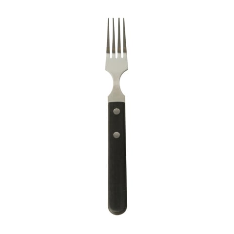 STAINLESS STEEL ABALONE FORK with PLASTIC HANDLE