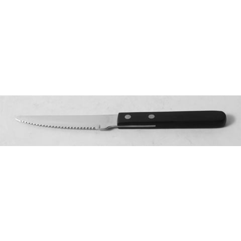 STAINLESS STEEL ABALONE/STEAK KNIFE with PLASTIC HANDLE