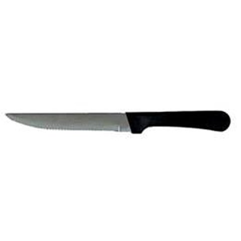 STEAK KNIFE WITH PLASTIC HANDLE with POINTED END BLADE