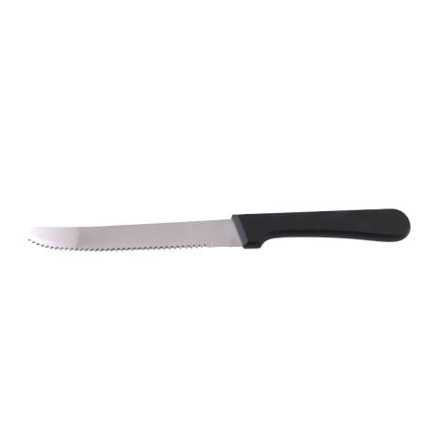 STEAK KNIFE WITH PLASTIC HANDLE ROUNDED END BLADE