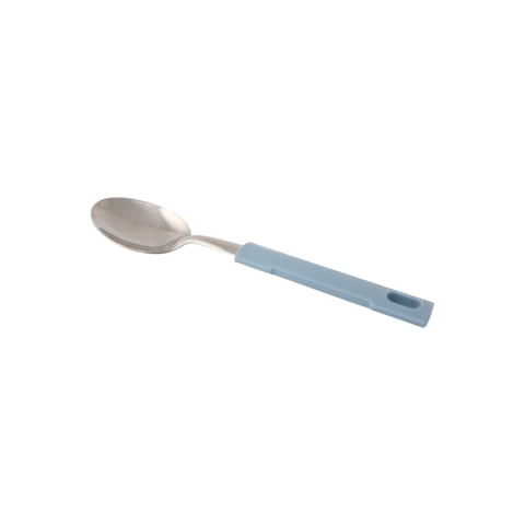 S/S DESSERT SPOON SQ PLC HDLE, BLUE