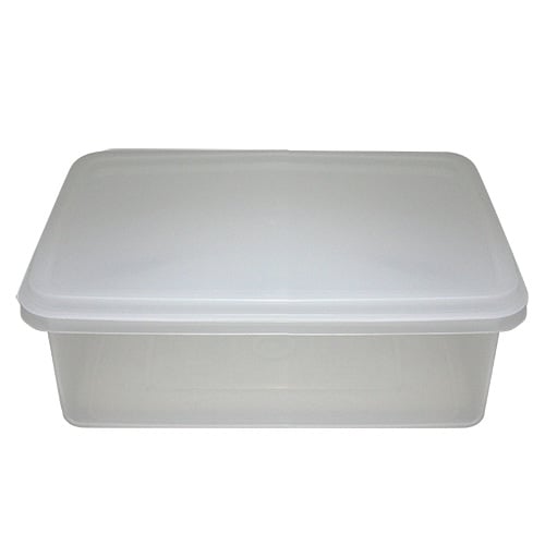 (21-00286) PLC RECT CONTAINER 25x19x9cm, 2.6 Ltr.