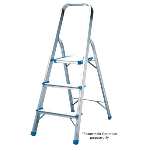 -TS- (22-01175) ALUM LADDER 8 STEPS, 173-223cm, w/SAFETY HANDRAIL