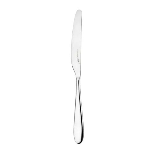 Charingworth Stainless Steel Table Knife L24cm,Santol Mirror