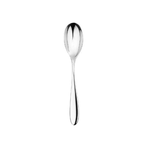 Charingworth Stainless Steel Serving Spoon L24.8cm,Santol Mirror
