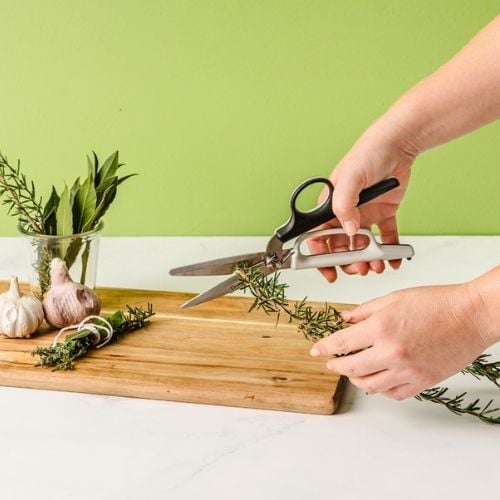 Dreamfarm Stainless Steel Bishears Scissors 2-In 1 Kitchen Shears L24xW8.5cm,Black+White