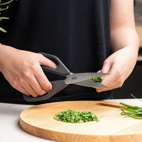 Zyliss Polypropylene Basic Household Scissors Basic, Gray