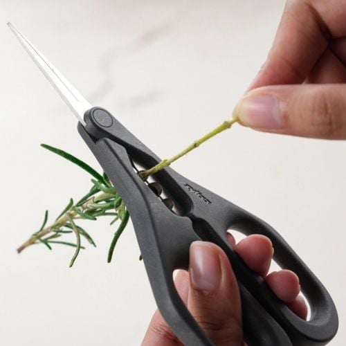 Zyliss Stainless Steel Herb Snippers