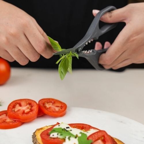 Zyliss Stainless Steel Herb Snippers