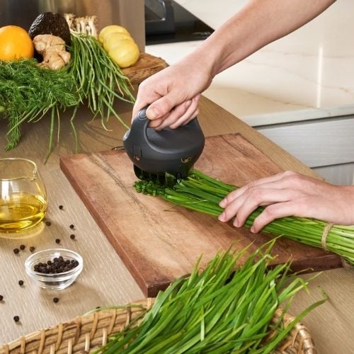 Zyliss Acrylonitrile Butadiene Styrene Fast Cut Herb Tool