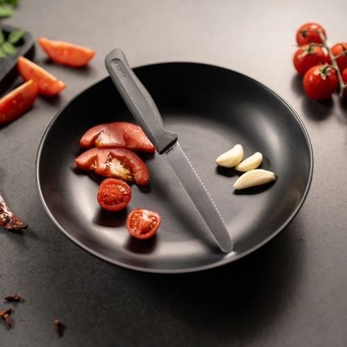 Zyliss Stainless Steel Tomato Serrated Knife With Translucent Blade Cover 11cm, Gray, Utility