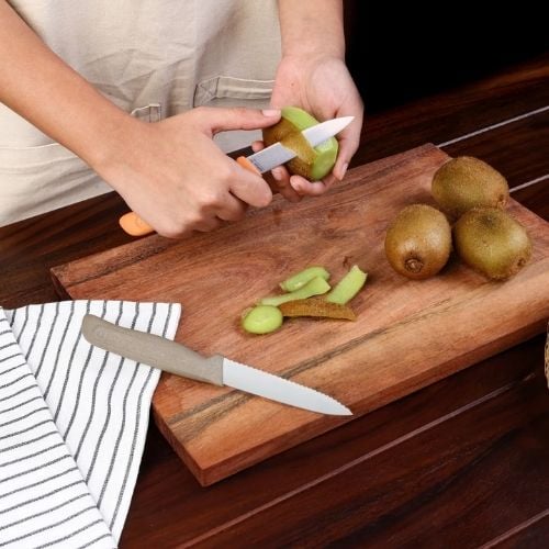 Zyliss Stainless Steel 2-Piece Knife Set With Translucent Blade Cover, Utility