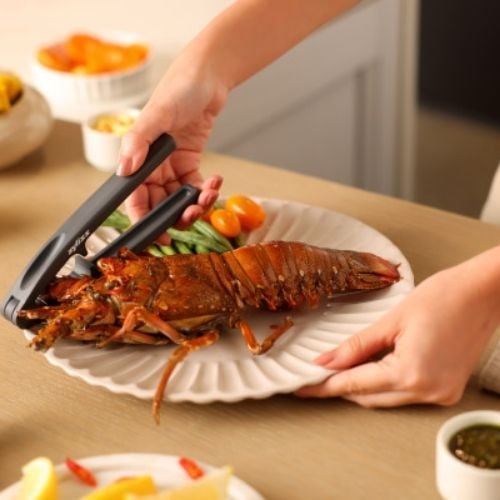 Zyliss Rynite Seafood Cracker, Gray