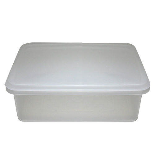 (21-00286) PLC RECT CONTAINER 25x19x9cm, 2.6 Ltr.